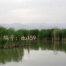 ͨ