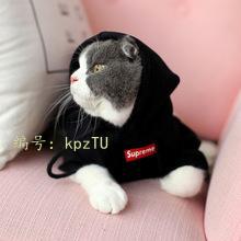 㶫ʡ