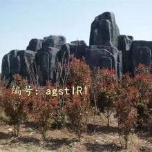 ָ