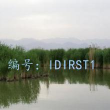 ȷ