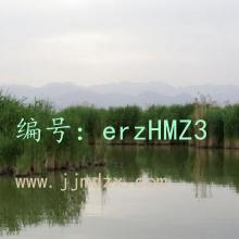 ǧ