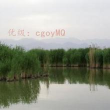 Զ