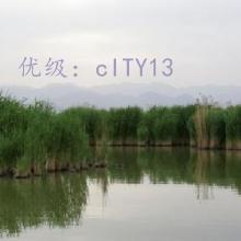 ܶ