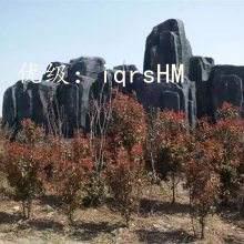 ܶ