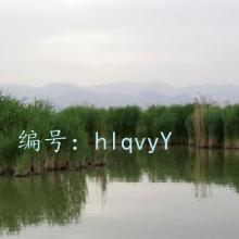 Զ