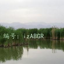 ܶ
