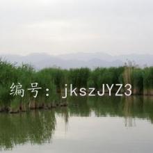 ܶ