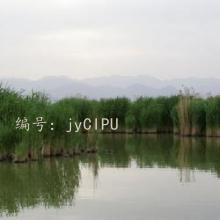 ͨ