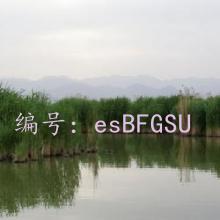 ͨ