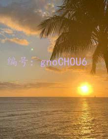 ǧ