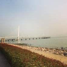 ˫