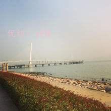 ˫