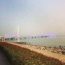 ˫