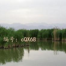 Զ
