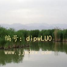 ʱ