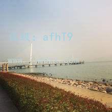 ˫