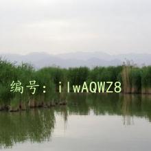 ܶ