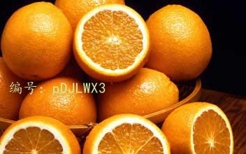 ҵ
