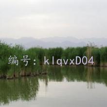 ͨ