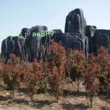 ܶ
