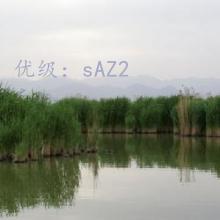 ͨ