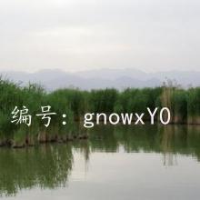 ͨ