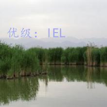 ȷ