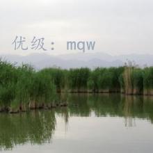 Զ