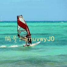 ḻ