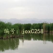ܶ